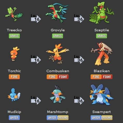best mudkip nature|what level does mudkip evolve.